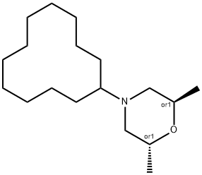 trans-4-Cyclododecyl-2,6-dimethylmorpholine Structure