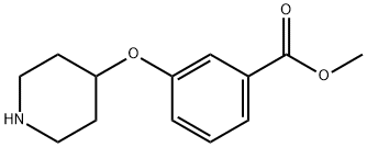 methyl 3-(piperidin-4-yloxy)benzoate|methyl 3-(piperidin-4-yloxy)benzoate