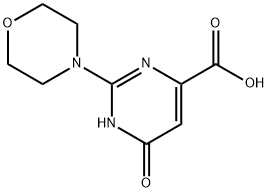 2-Morpholino-6-oxo-1,6-dihydropyrimidine-4-carboxylic acid