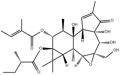 Tigilanol tiglate 化学構造式