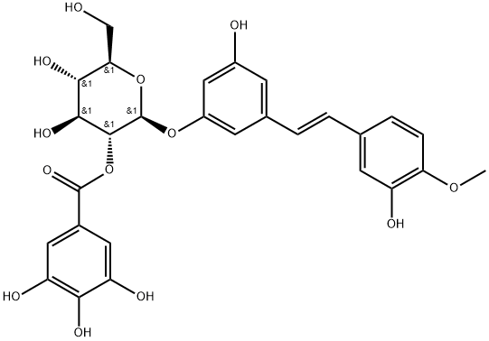 Rhaponticin 2''-O-gallate|Rhaponticin 2''-O-gallate