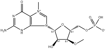 5'-Guanylic acid, 7-methyl-3'-O-methyl-, inner salt,94889-80-2,结构式