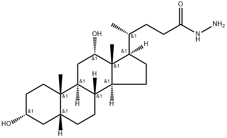 Hydrazine amide of deoxycholic acid Structure