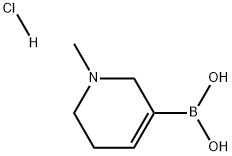 1-Methyl-1,2,5,6-tetrahydropyridine-3-yl]boronic acid hydrochloride,2716848-77-8,结构式