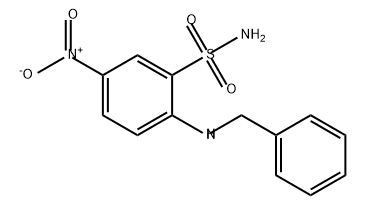Benzenesulfonamide, 5-nitro-2-[(phenylmethyl)amino]- Structure