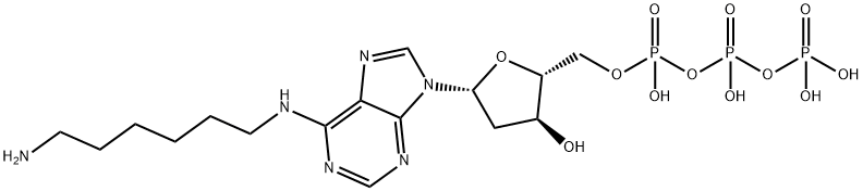 N6-(6-Amino)hexyl-dATP Struktur
