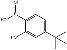 Boronic acid, B-[4-(1,1-dimethylethyl)-2-hydroxyphenyl]- 化学構造式