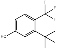 3-(叔丁基)-4-(三氟甲基)苯酚 结构式