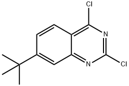 2,4-Dichloro-7-(1,1-dimethylethyl)quinazoline Structure