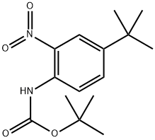 (4-(叔丁基)-2-硝基苯基)氨基甲酸叔丁酯 结构式