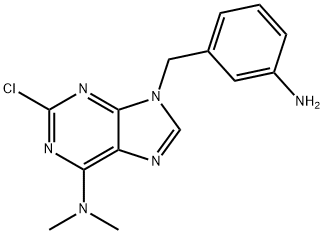 9-(3-Aminobenzyl)-2-chloro-N,N-dimethyl-9H-purin-6-amine 结构式