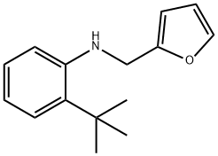 2-tert-butyl-N-[(furan-2-yl)methyl]aniline 结构式