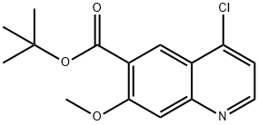 tert-butyl 4-chloro-7-methoxyquinoline-6-carboyxlate Structure