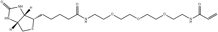 生物素-三聚乙二醇-丙烯酰胺 结构式