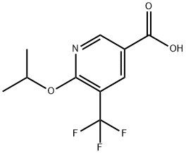 6-[(1-methylethyl)oxy]-5-(trifluoromethyl)-3-pyridinecarboxylic acid 化学構造式