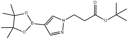 3-(4-(4,4,5,5-四甲基-1,3,2-二氧硼烷-2-基)-1H-吡唑-1-基)丙酸叔丁酯,1220967-98-5,结构式