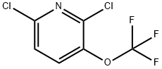 2,6-Dichloro-3-(trifluoromethoxy)pyridine Struktur