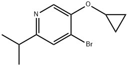 Pyridine, 4-bromo-5-(cyclopropyloxy)-2-(1-methylethyl)- Structure