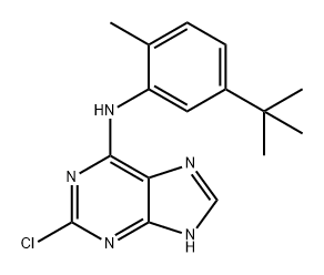 9H-Purin-6-amine, 2-chloro-N-[5-(1,1-dimethylethyl)-2-methylphenyl]-,1245736-99-5,结构式