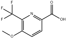 2-Pyridinecarboxylic acid, 5-methoxy-6-(trifluoromethyl)- Struktur