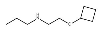 1-Propanamine, N-[2-(cyclobutyloxy)ethyl]- 化学構造式