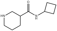 N-cyclobutylpiperidine-3-carboxamide Struktur