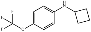 N-Cyclobutyl-4-(trifluoromethoxy)aniline 结构式