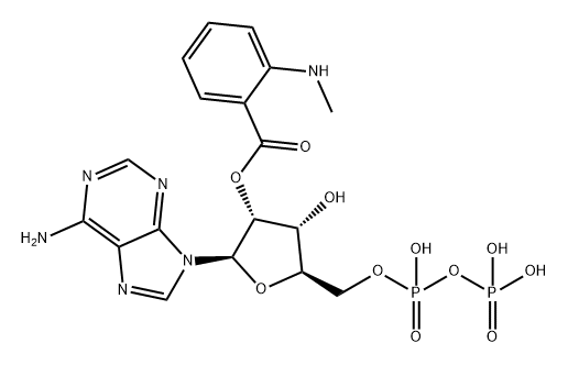 Adenosine 5'-(trihydrogen diphosphate), 2'-[2-(methylamino)benzoate] Structure