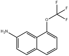 8-(Trifluoromethoxy)naphthalen-2-amine,1261658-26-7,结构式