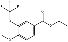 Ethyl 4-methoxy-3-(trifluoromethoxy)benzoate Struktur