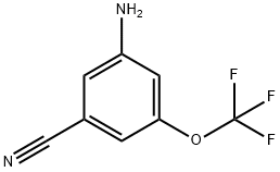 3-氨基-5-(三氟甲氧基)苯甲腈,1261873-36-2,结构式