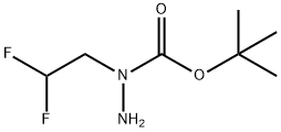 N-(2,2-difluoroethyl)(tert-butoxy)carbohydrazide 结构式