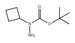 Hydrazinecarboxylic acid, 1-cyclobutyl-, 1,1-dimethylethyl ester 化学構造式