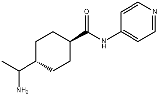 4-(1-Aminoethyl)-N-pyridin-4-yl-1-cyclohexanecarboxamide|