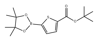 2-Thiophenecarboxylic acid, 5-(4,4,5,5-tetramethyl-1,3,2-dioxaborolan-2-yl)-, 1,1-dimethylethyl ester|