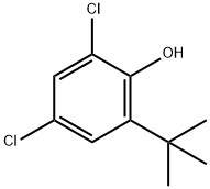 Phenol, 2,4-dichloro-6-(1,1-dimethylethyl)- Struktur