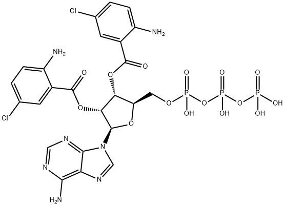 Bis-Cl-ANT-ATP Structure