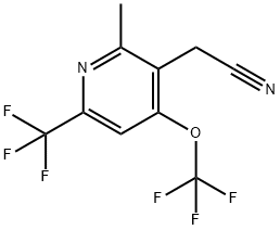 2-Methyl-4-(trifluoromethoxy)-6-(trifluoromethyl)pyridine-3-acetonitrile 结构式