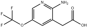 2-Amino-5-(trifluoromethoxy)pyridine-3-acetic acid Structure