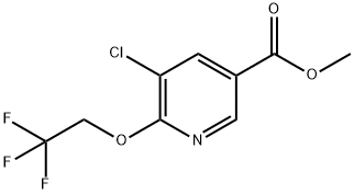 methyl 5-chloro-6-(2,2,2-trifluoroethoxy)nicotinate|