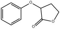 2(3H)-Furanone, dihydro-3-phenoxy-|