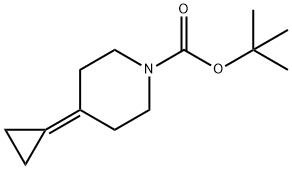 4-环亚丙基哌啶-1-甲酸叔丁酯 结构式