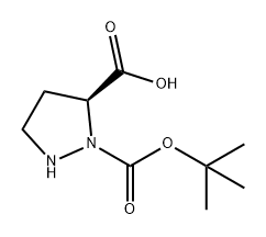 1,5-Pyrazolidinedicarboxylic acid, 1-(1,1-dimethylethyl) ester, (5S)- 化学構造式