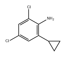 Benzenamine, 2,4-dichloro-6-cyclopropyl- Struktur