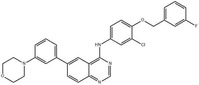 4-Quinazolinamine, N-[3-chloro-4-[(3-fluorophenyl)methoxy]phenyl]-6-[3-(4-morpholinyl)phenyl]- 化学構造式