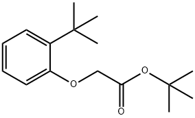 Acetic acid, 2-[2-(1,1-dimethylethyl)phenoxy]-, 1,1-dimethylethyl ester Structure