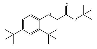 Acetic acid, 2-[2,4-bis(1,1-dimethylethyl)phenoxy]-, 1,1-dimethylethyl ester Structure