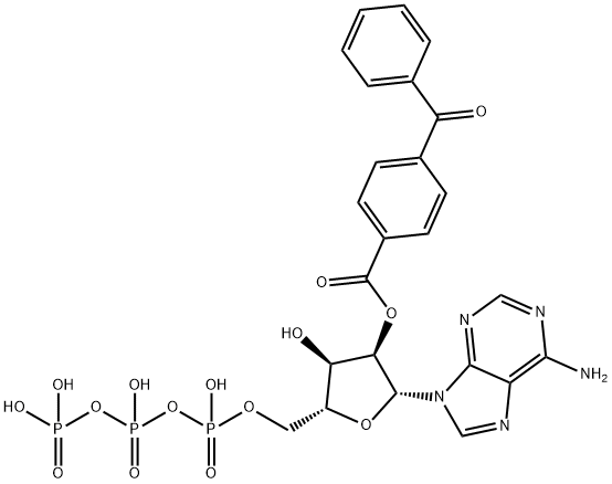 Adenosine 5'-(tetrahydrogen triphosphate), 2'-(4-benzoylbenzoate) Structure