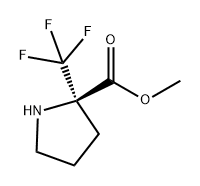 (R)-2-(三氟甲基)吡咯烷-2-羧酸甲酯 结构式