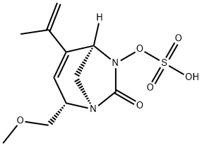 (1R,2S,5R)-2-(Methoxymethyl)-4-(1-methyle
thenyl)-7-oxo-1,6-diazabicyclo[3.2.1]oct-3-en-
6-yl hydrogen sulfate Struktur